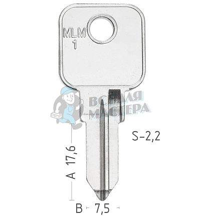 MLM2 MLM-5 MLM1 MLM12