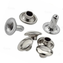 Хольнитены