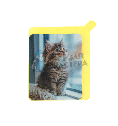 Стикер "Котёнок" T5577