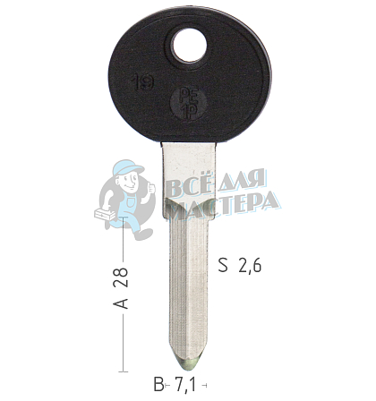 BM1P PE1P19 - Чертеж