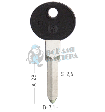 BM1P PE1P19