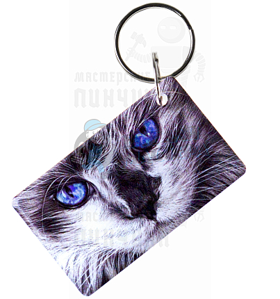 КАРТА-мини. MIFARE ZERO "Котик"