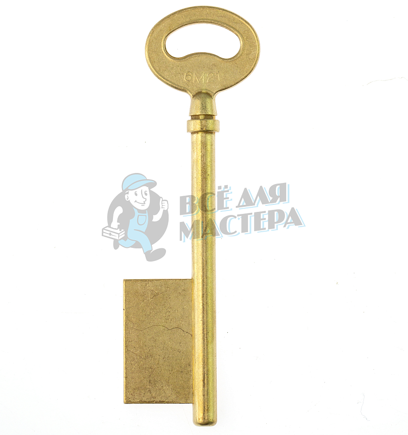 6M21 6M21 50B100