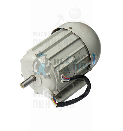 Мотор для универсала 100G две скорости Wenxing