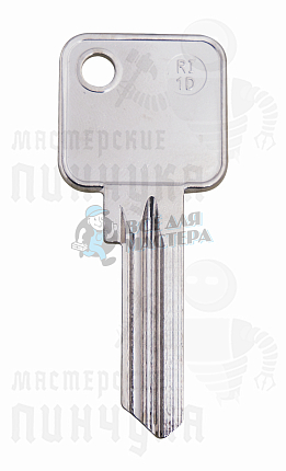 RI1D RIG-1D RGA1 RIA1