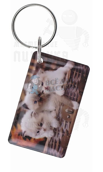 КАРТА.мини RFID "Котята" - Чертеж