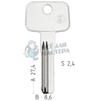 PN 1R  PTN-1D  PT4R  PTN1L 