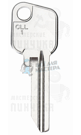 MOG-1D   CLL1   SZ1   COL1D