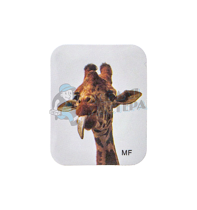 Стикер Mifare Zero  "Жираф" 